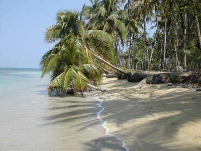 Strand auf Samana Las Terrenas